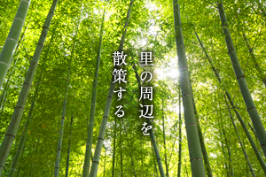 里の周辺を散策する
